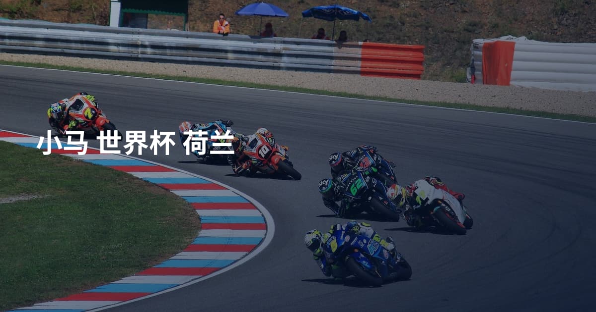 小马 世界杯 荷兰