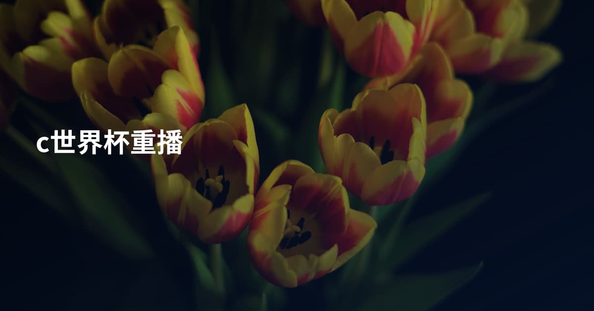 c世界杯重播