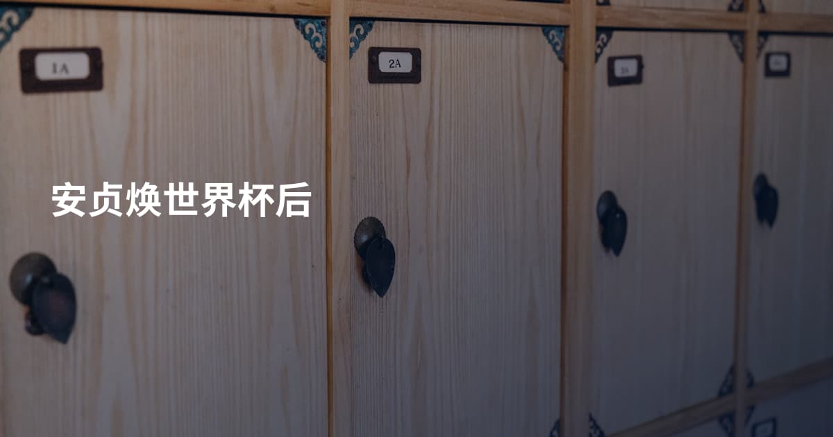 安贞焕世界杯后