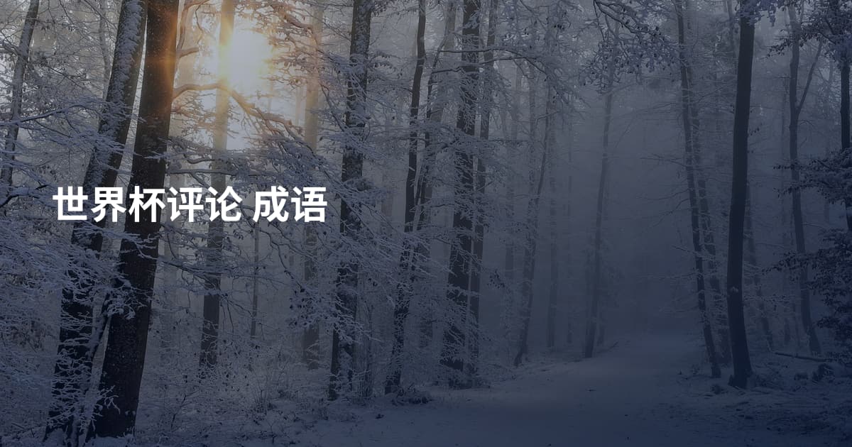世界杯评论 成语