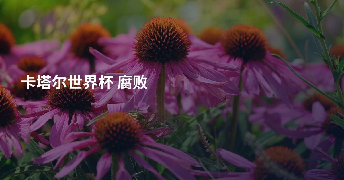 卡塔尔世界杯 腐败