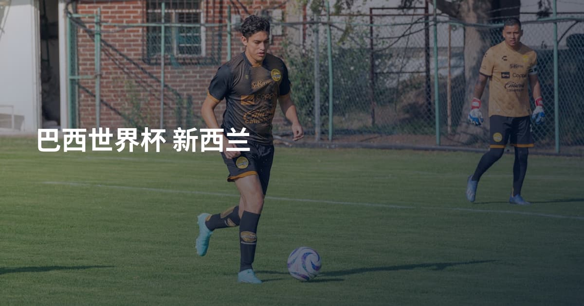 巴西世界杯 新西兰