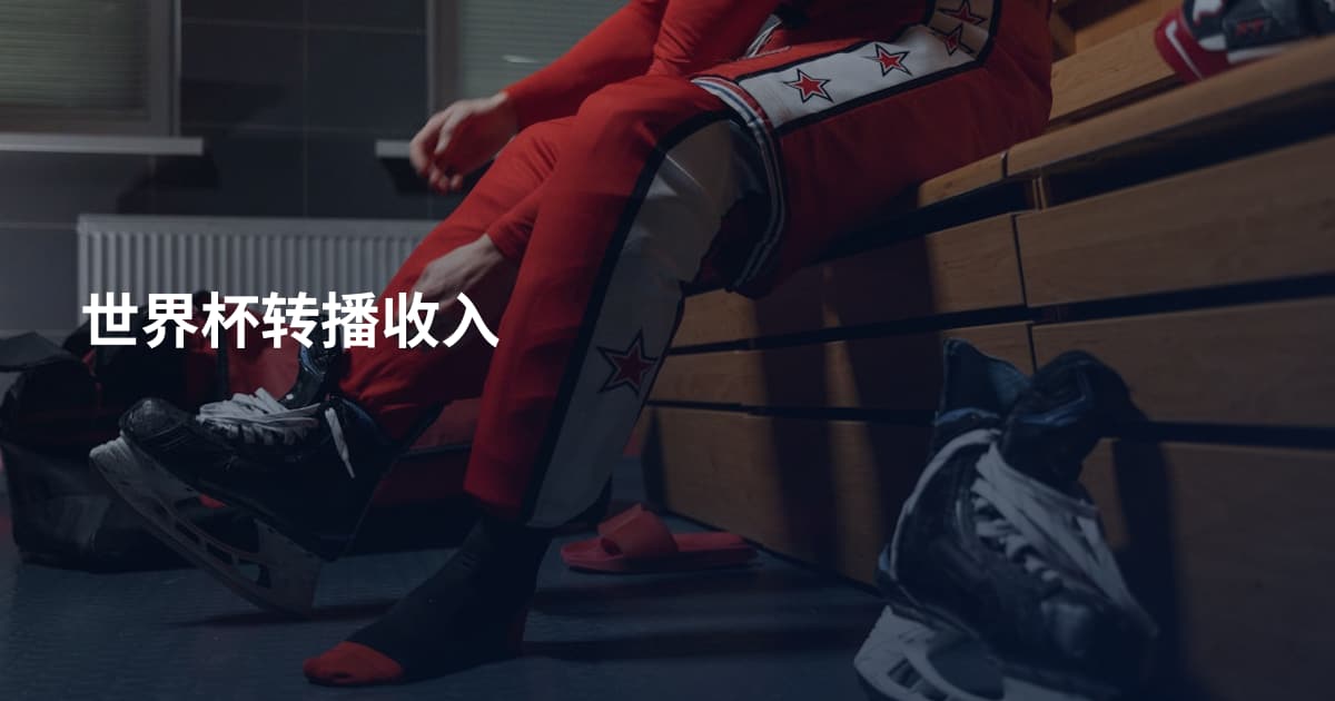 世界杯转播收入