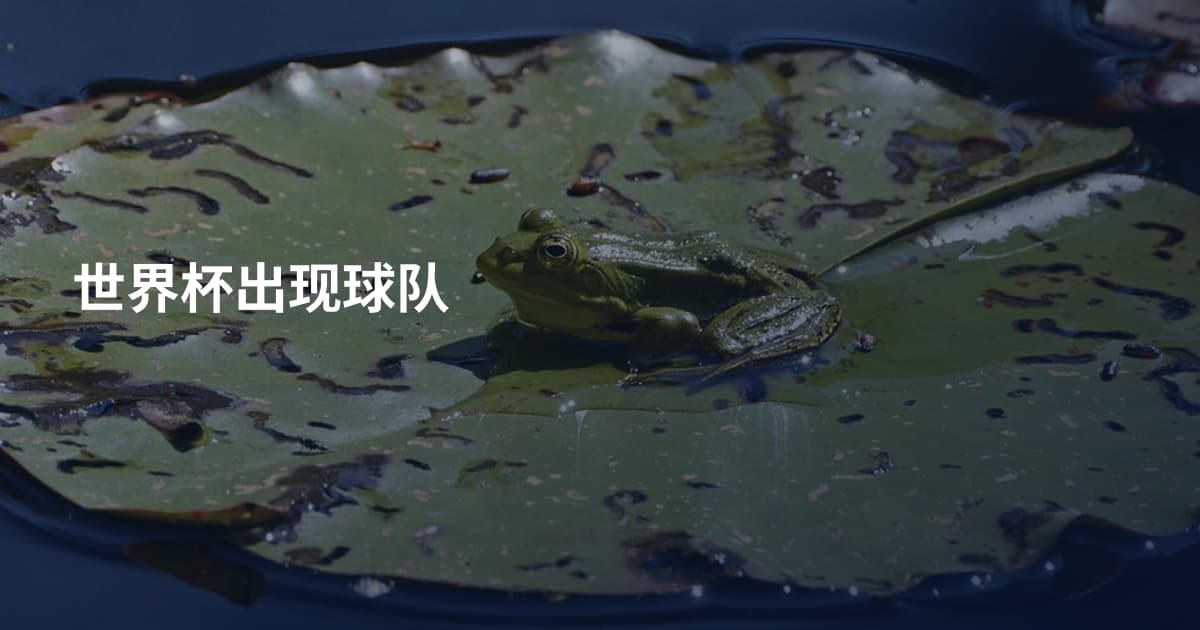 世界杯出现球队