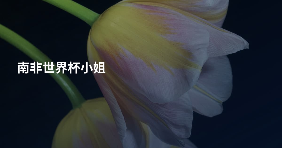 南非世界杯小姐