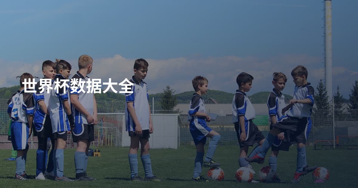 世界杯数据大全
