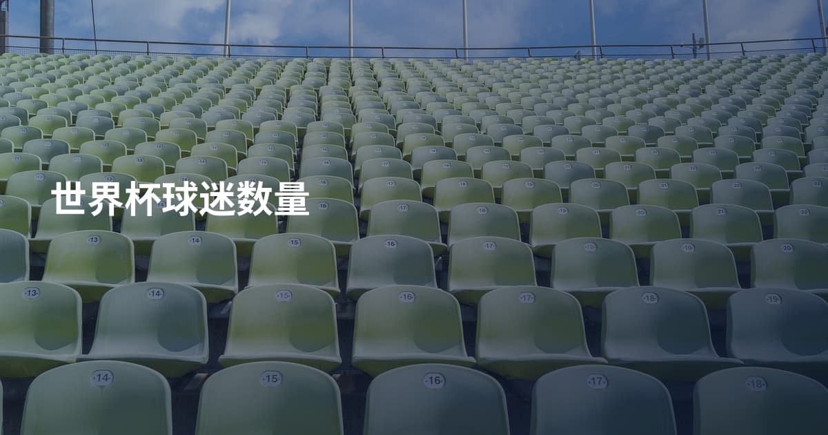 世界杯球迷数量