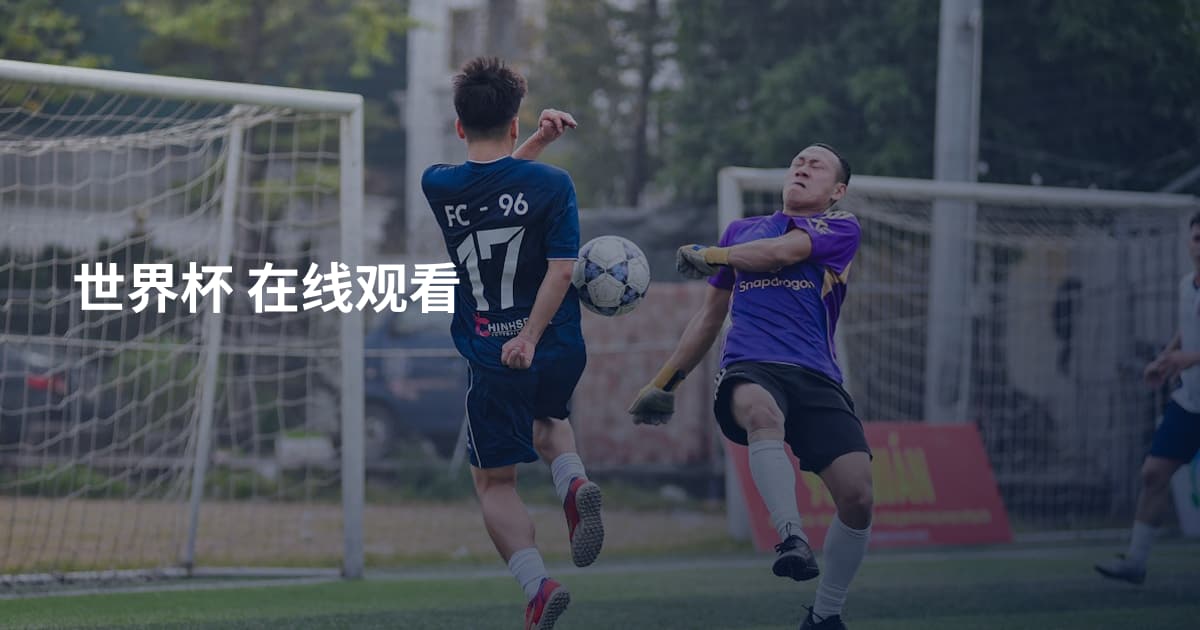 世界杯 在线观看