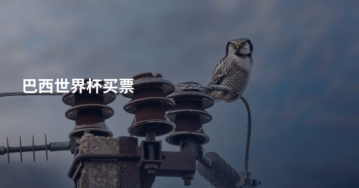 巴西世界杯买票