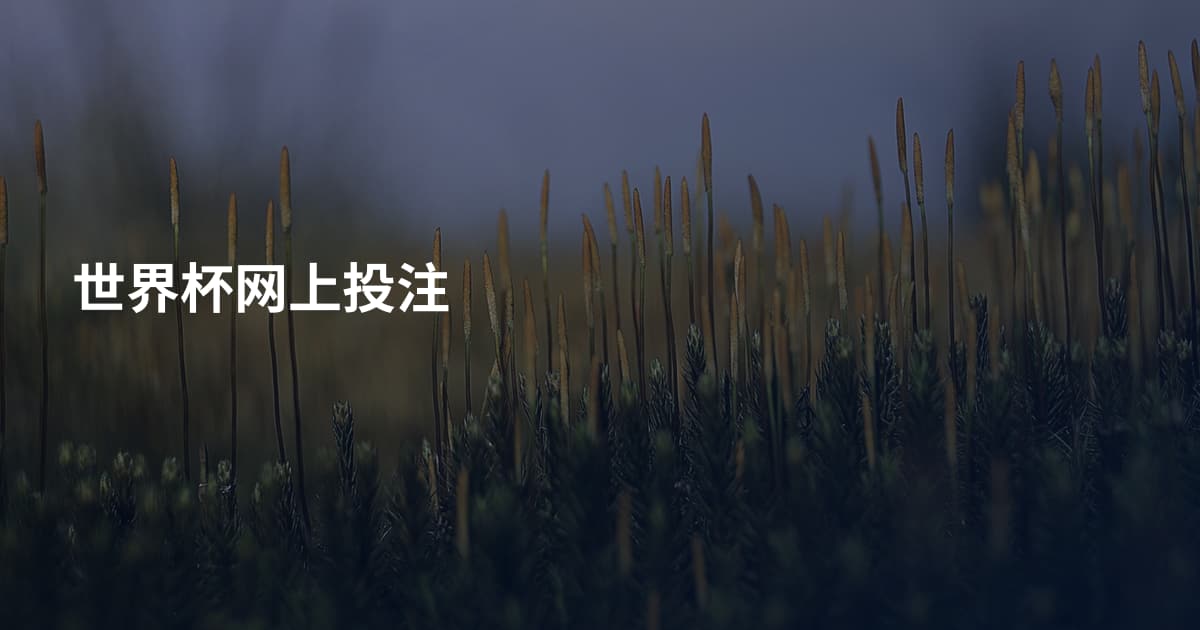 世界杯网上投注