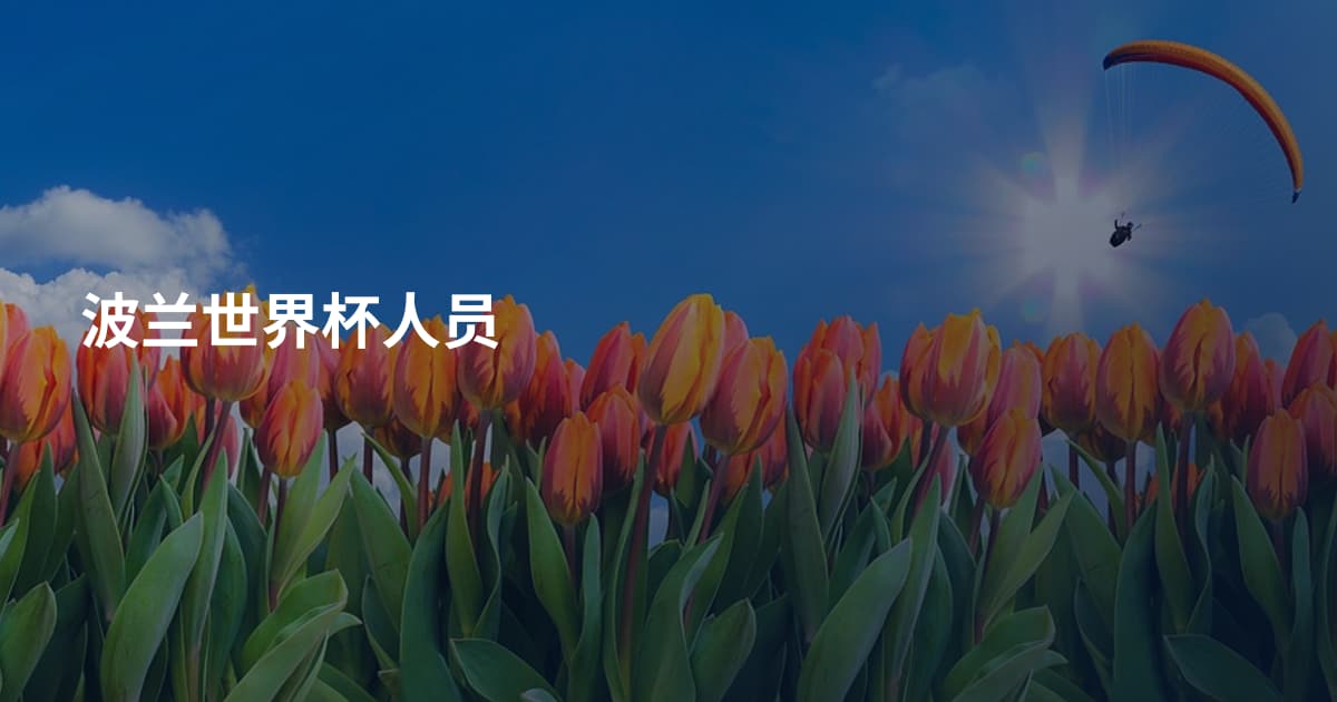 波兰世界杯人员