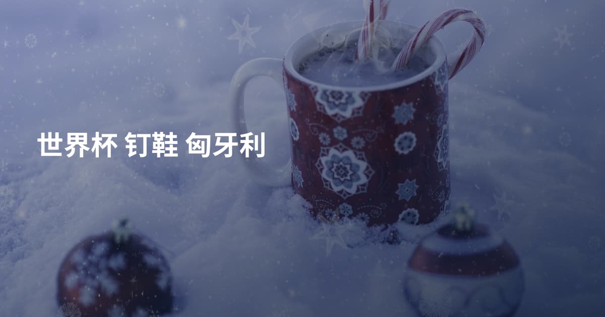 世界杯 钉鞋 匈牙利