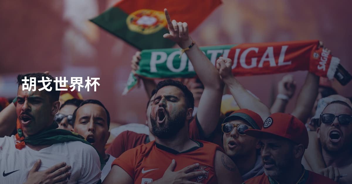 胡戈世界杯