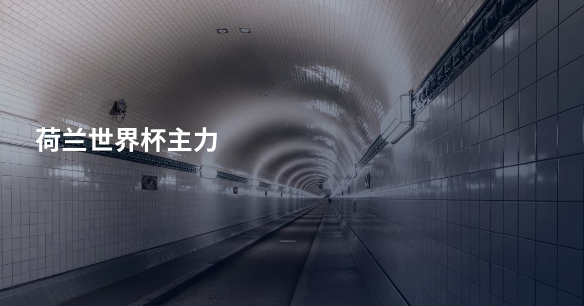荷兰世界杯主力
