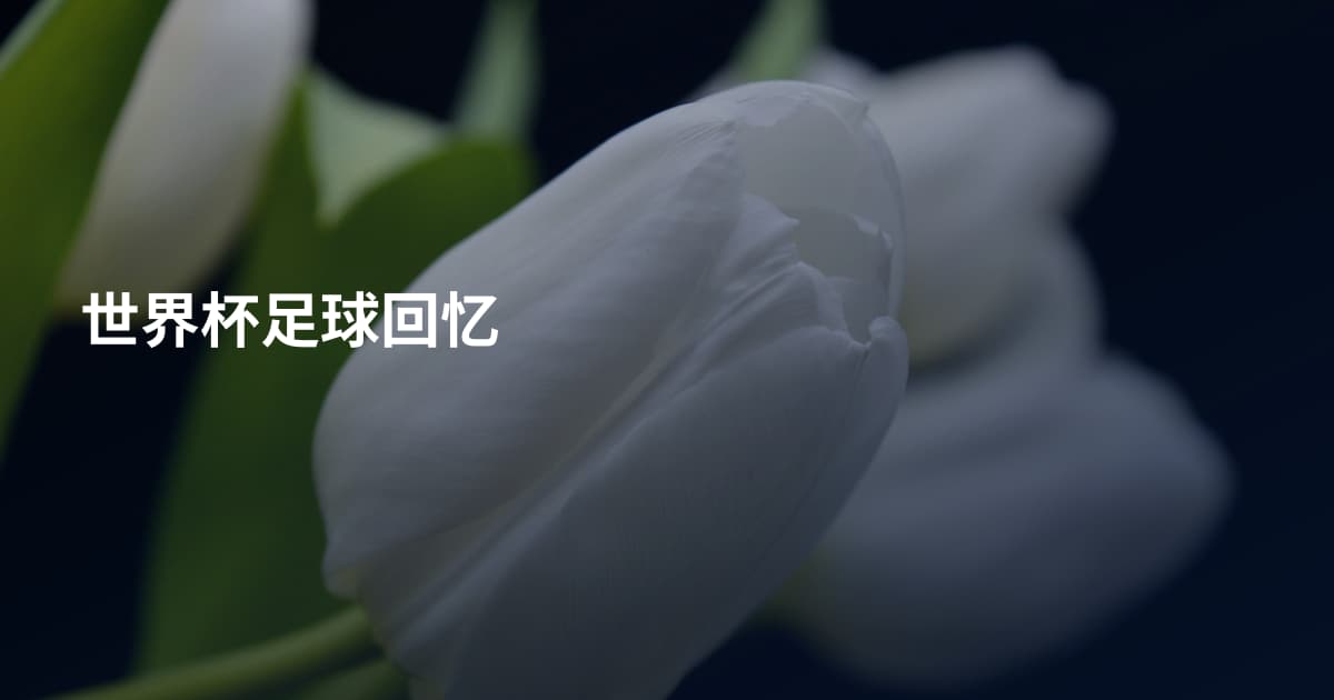 世界杯足球回忆