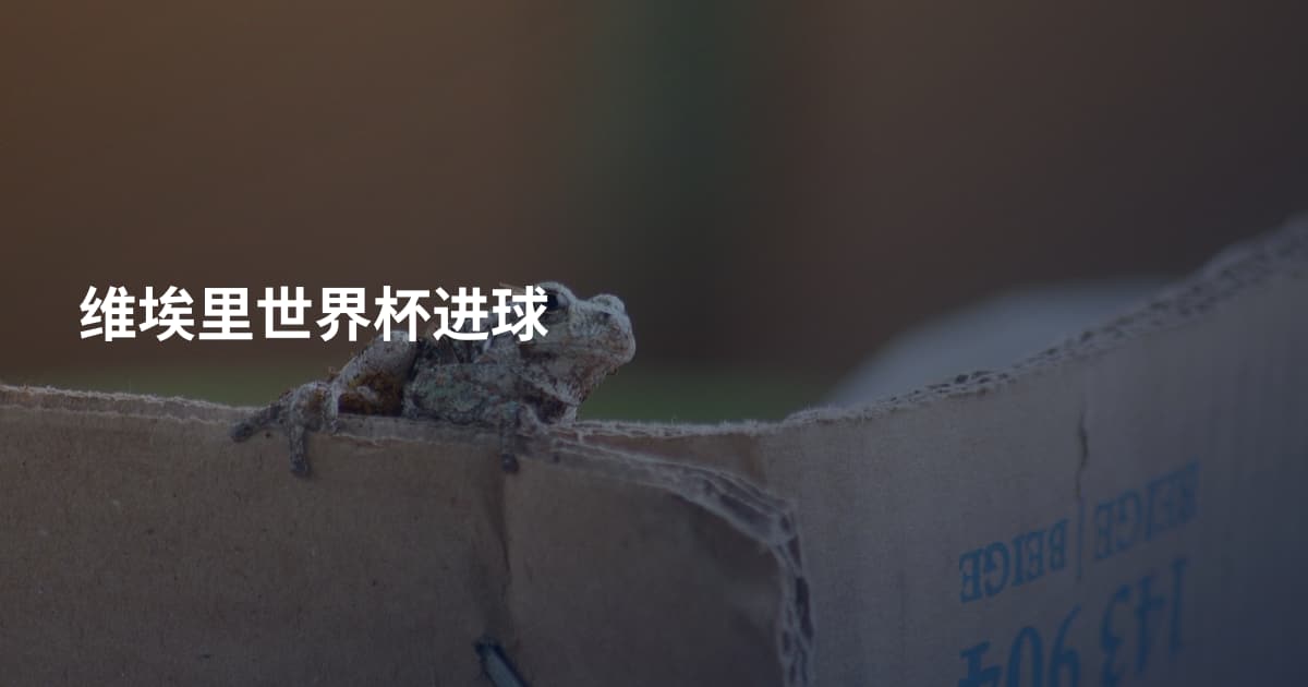 维埃里世界杯进球