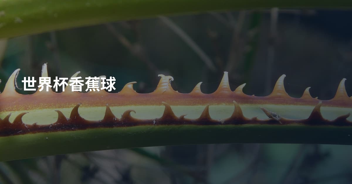 世界杯香蕉球
