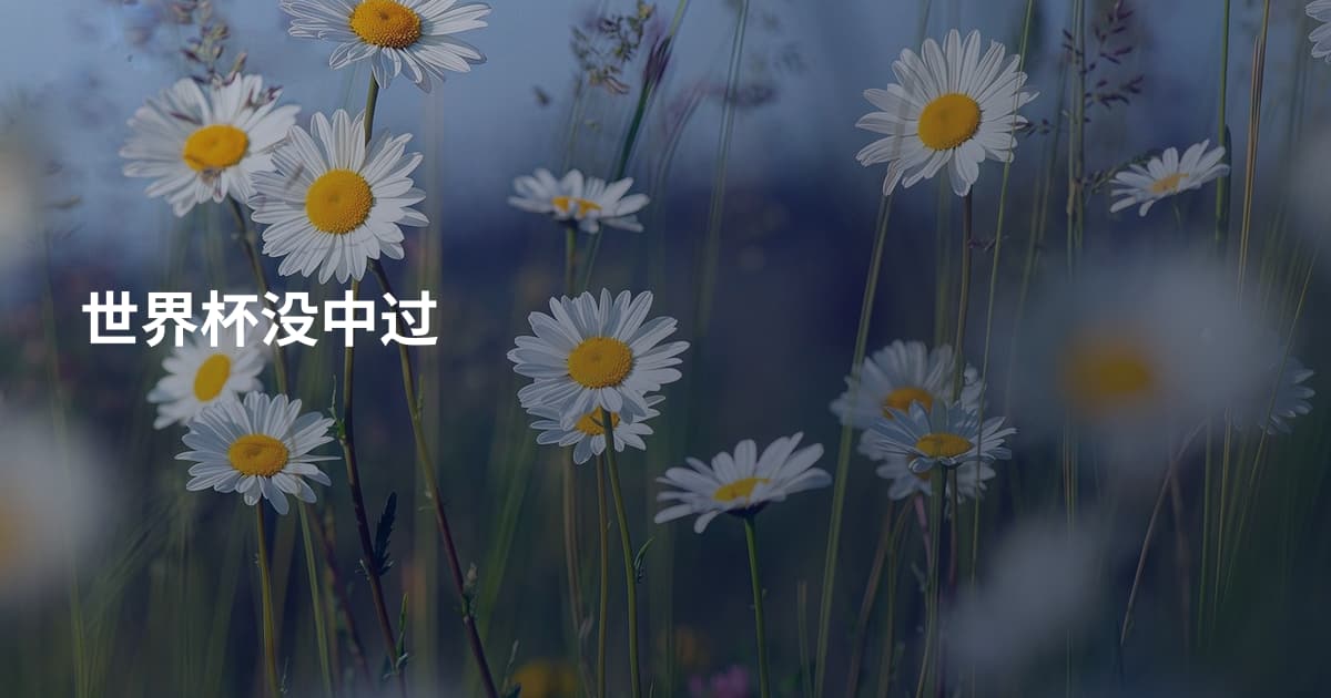 世界杯没中过