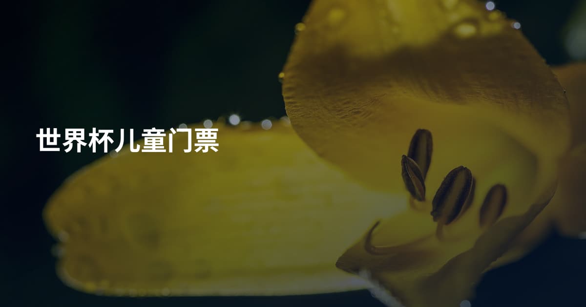 世界杯儿童门票