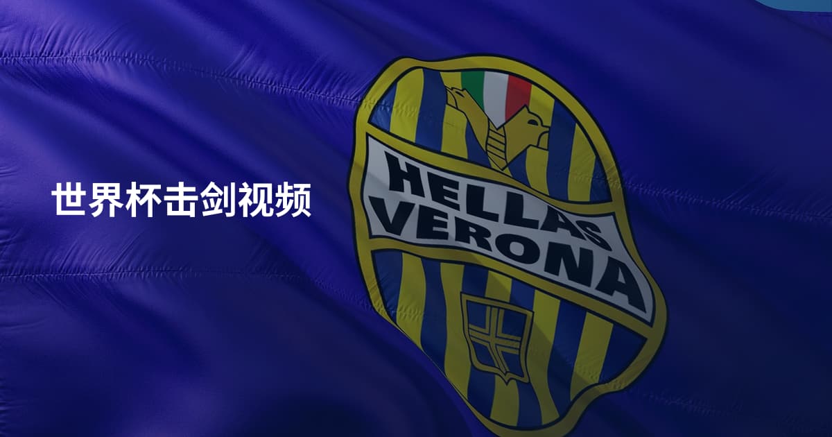 世界杯击剑视频