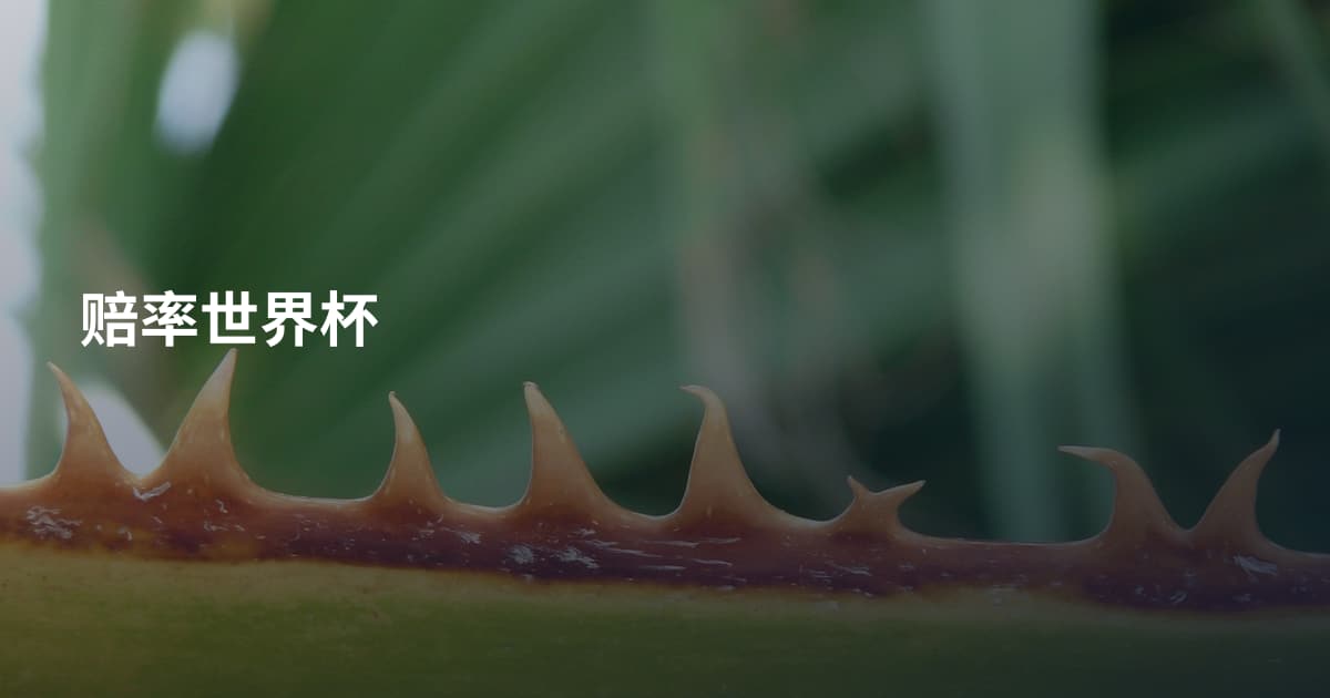 赔率世界杯