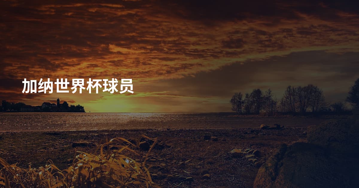 加纳世界杯球员