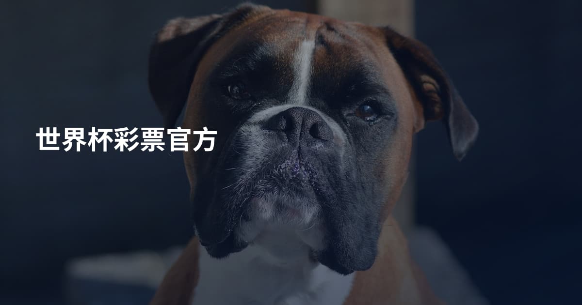 世界杯彩票官方
