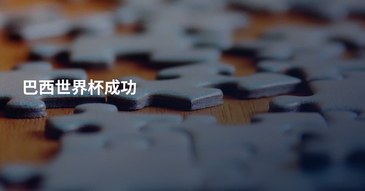 巴西世界杯成功
