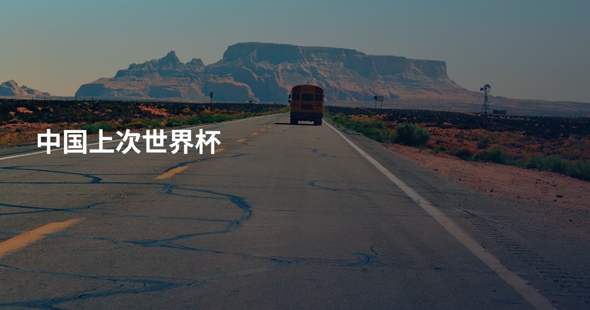 中国上次世界杯