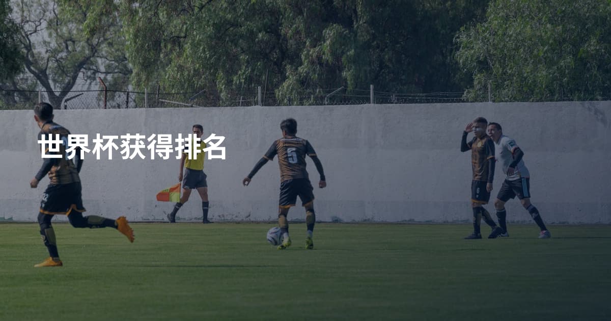 世界杯获得排名