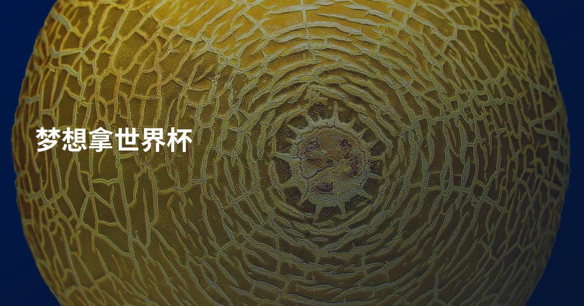 梦想拿世界杯
