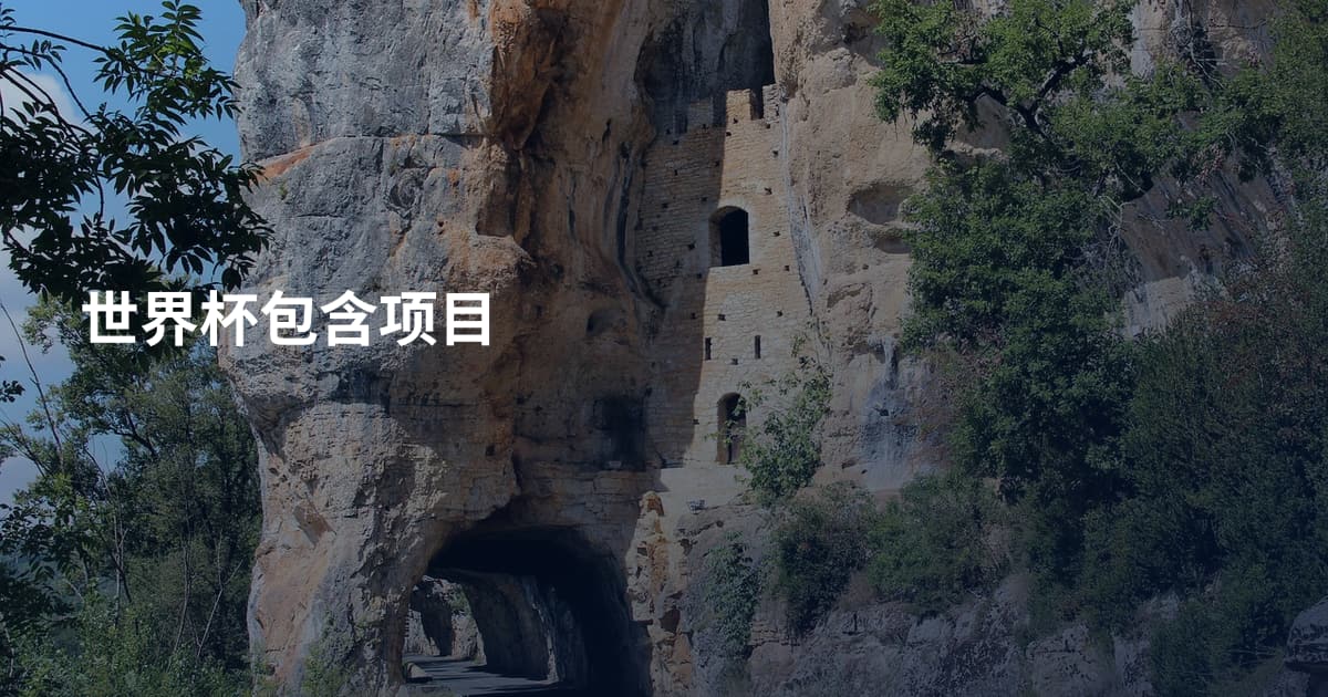 世界杯包含项目