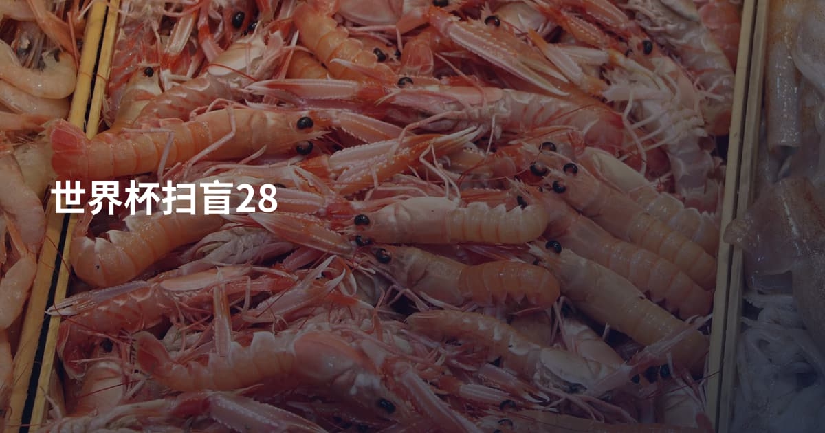 世界杯扫盲28