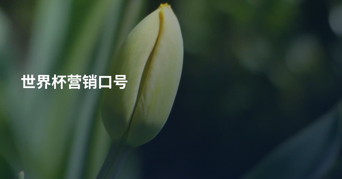 世界杯营销口号