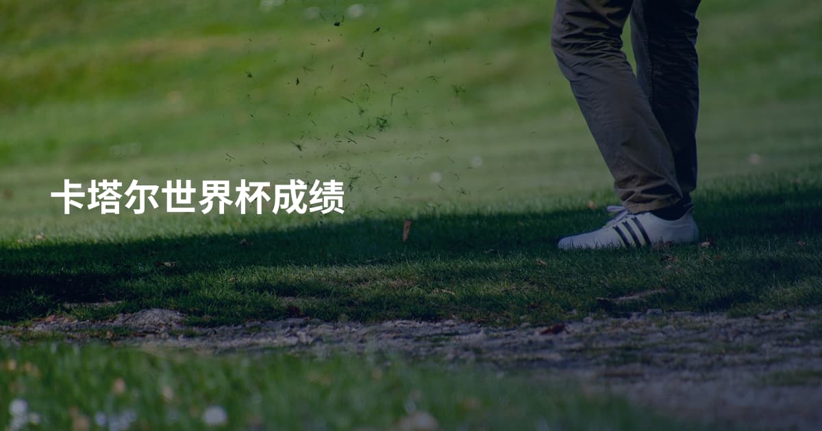 卡塔尔世界杯成绩