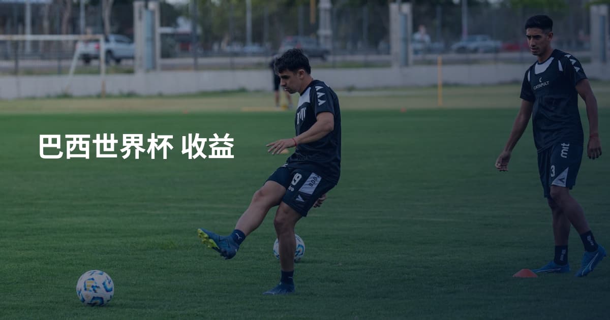 巴西世界杯 收益