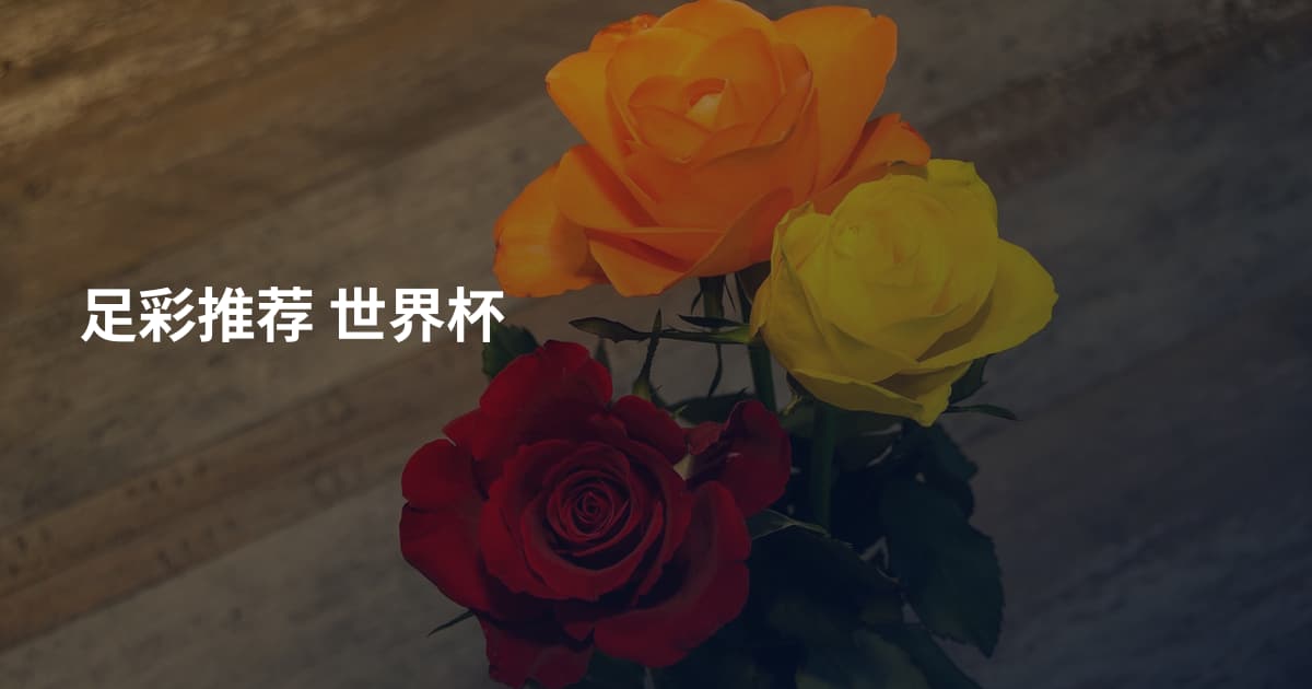 足彩推荐 世界杯