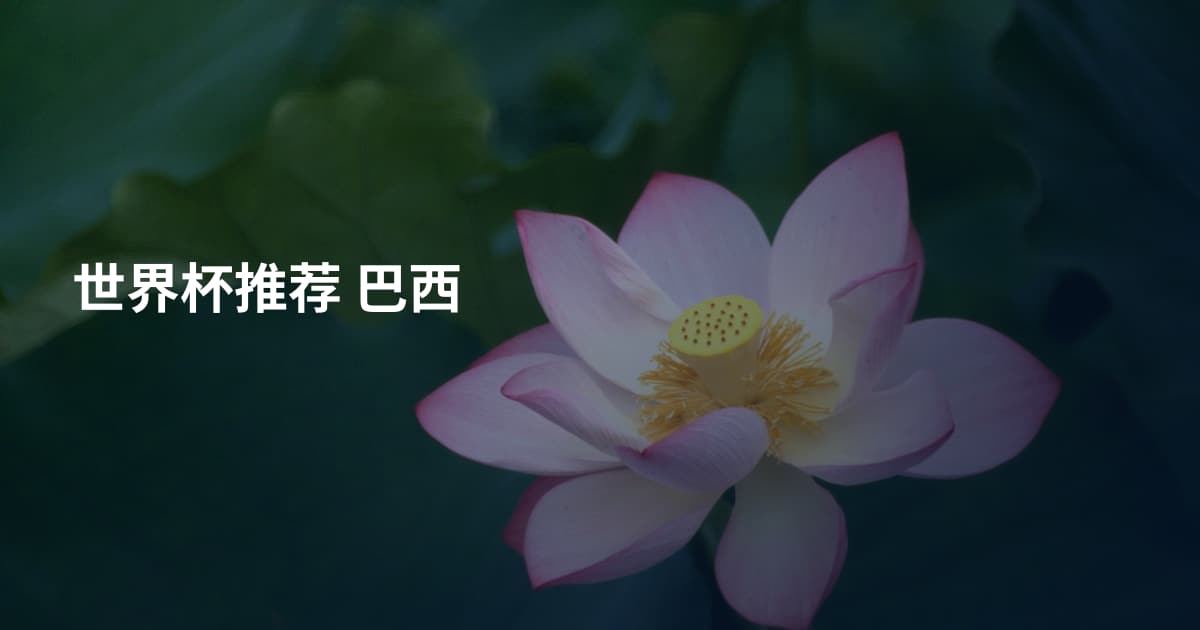 世界杯推荐 巴西