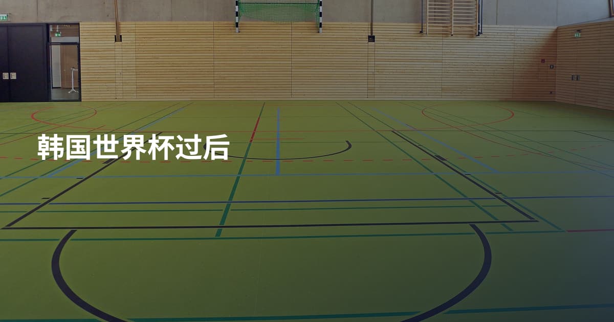 韩国世界杯过后