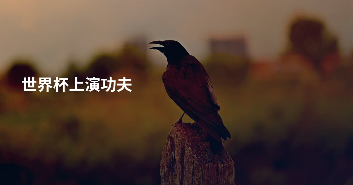 世界杯上演功夫