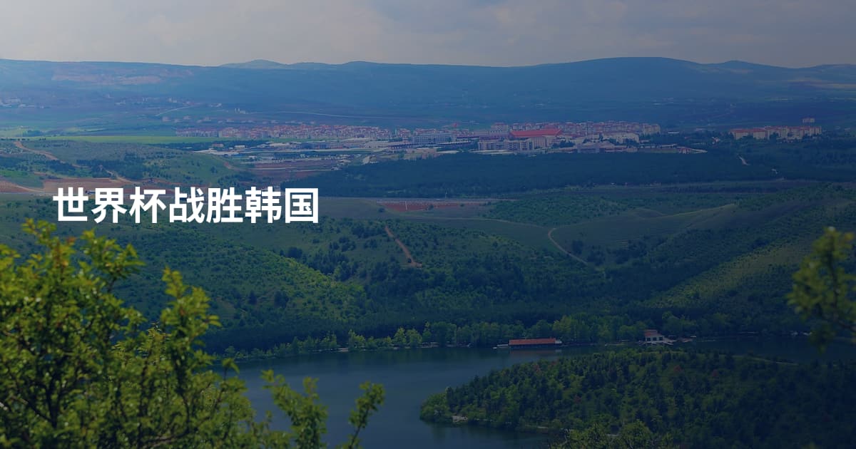 世界杯战胜韩国