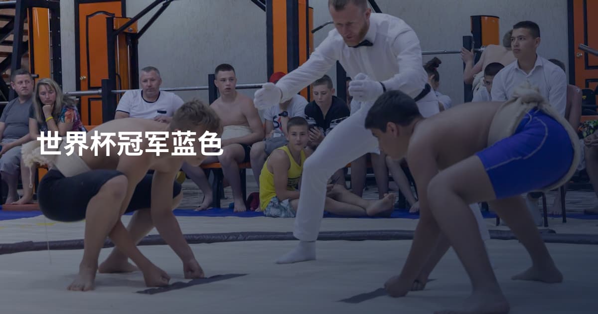 世界杯冠军蓝色