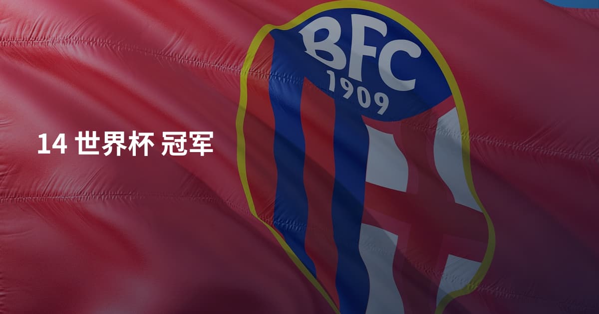 14 世界杯 冠军