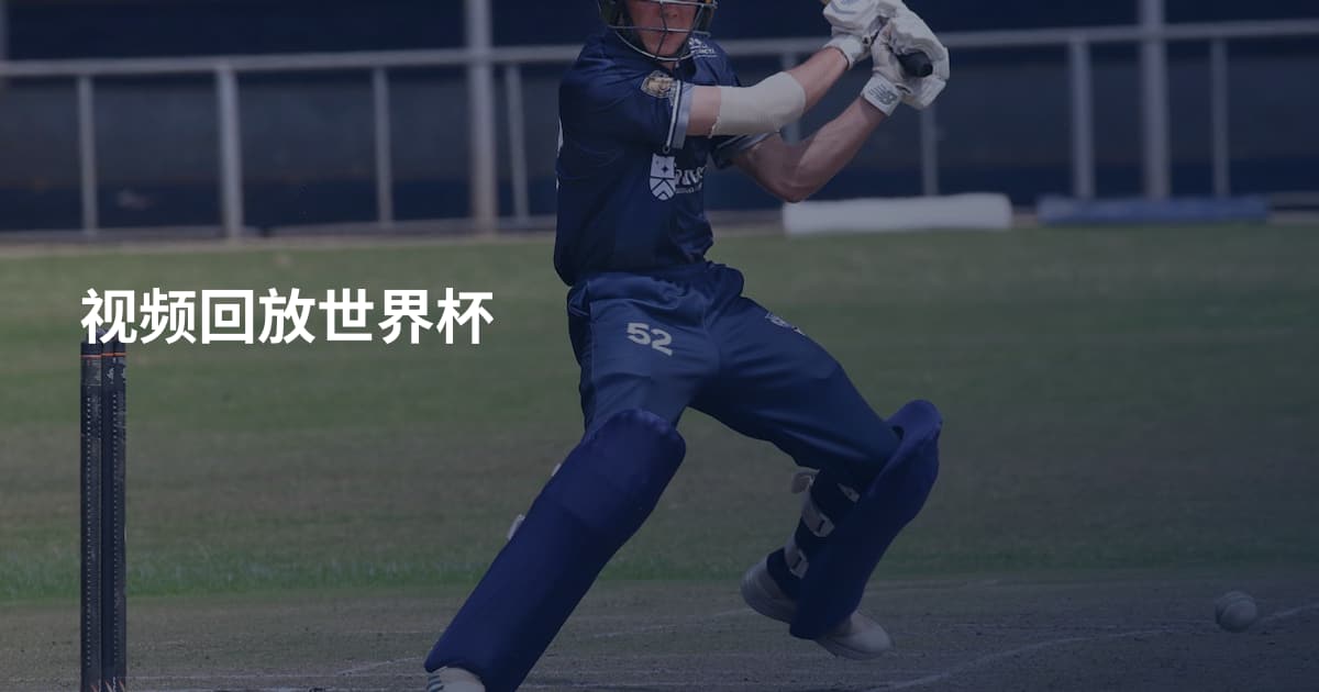 视频回放世界杯
