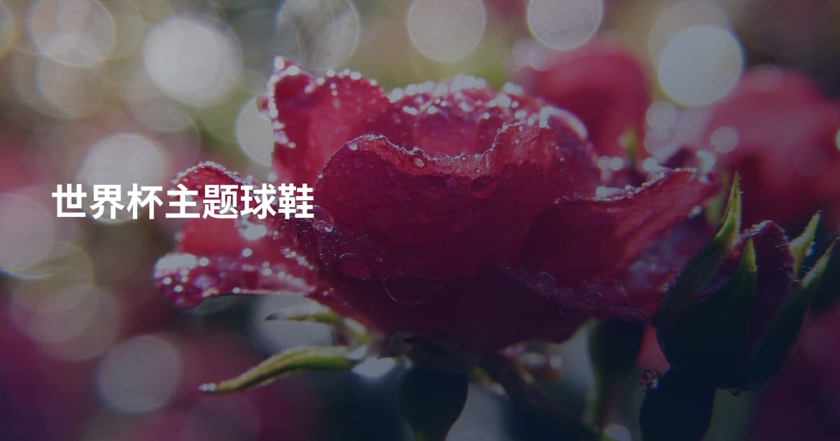 世界杯主题球鞋
