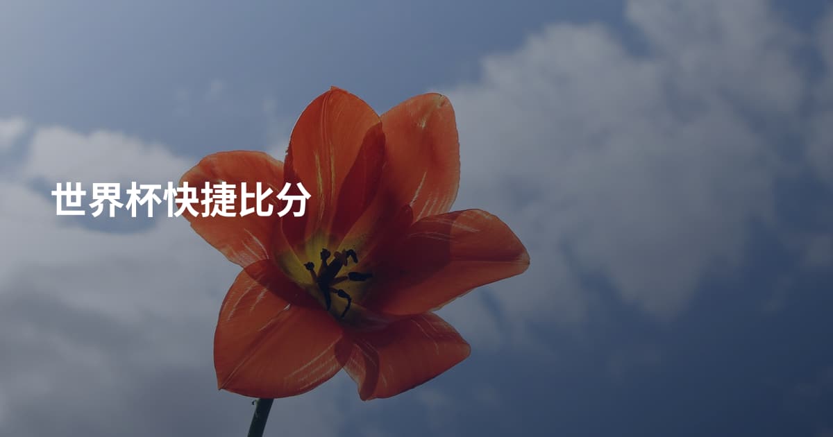 世界杯快捷比分