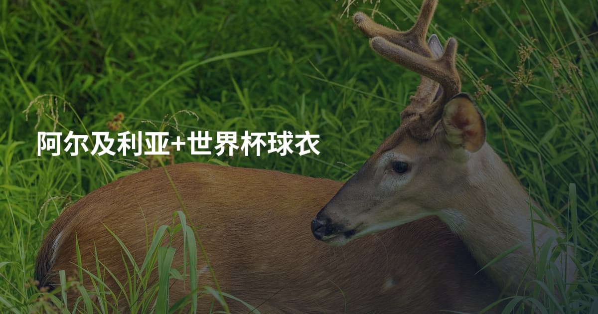 阿尔及利亚+世界杯球衣