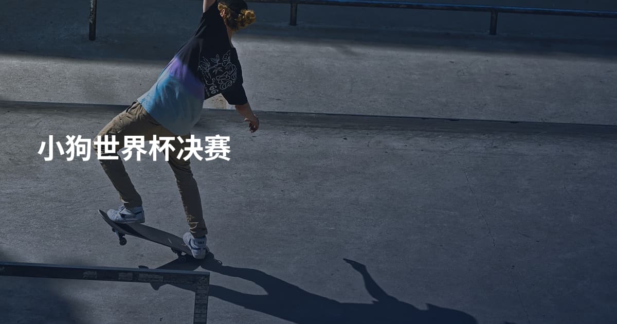 小狗世界杯决赛