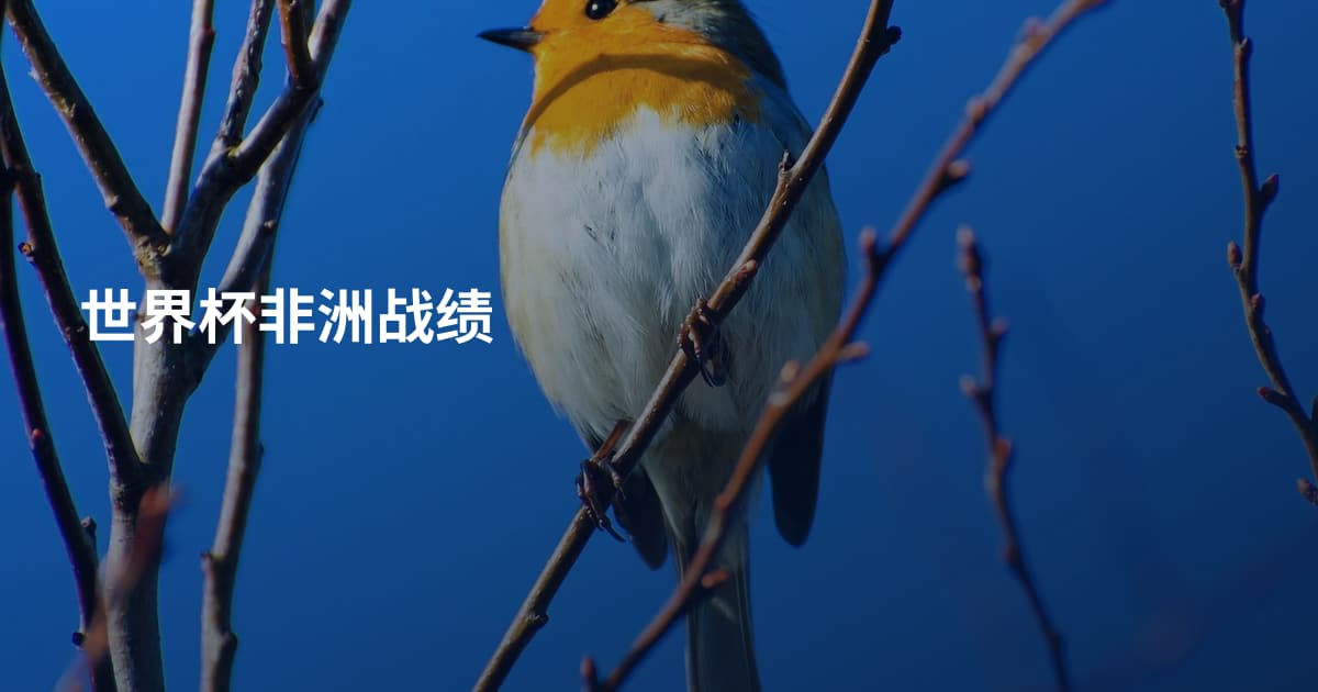 世界杯非洲战绩