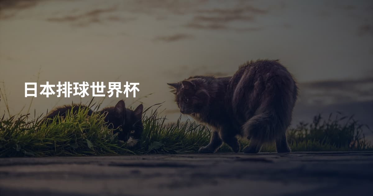 日本排球世界杯